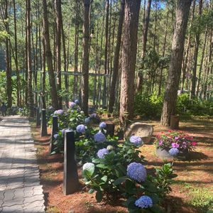 Dalat Edensee Lake Resort & Spa