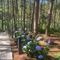Dalat Edensee Lake Resort & Spa