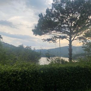 Dalat Edensee Lake Resort & Spa