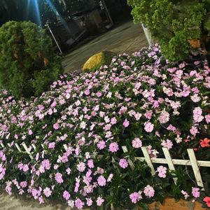Dalat Edensee Lake Resort & Spa
