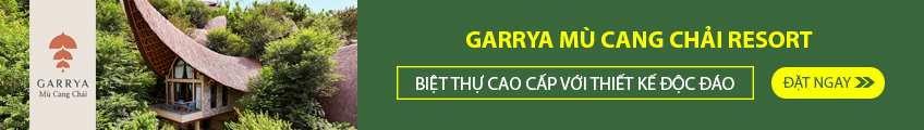 Garrya Mu Cang Chai