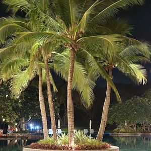 Hòn Tằm Resort Nha Trang