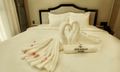 Anvi Suite