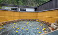 Onsen