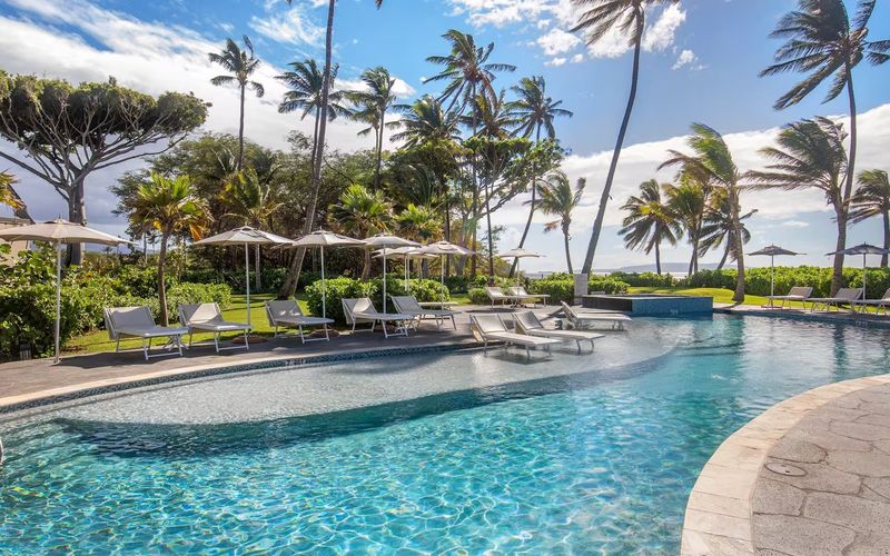 Tổng quan