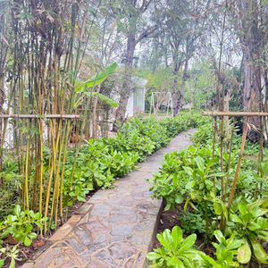 Fleur De Lys Resort & Spa Long Hải