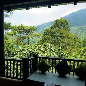 Melia Bavi Mountain Retreat