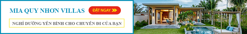 Mia Quy Nhon