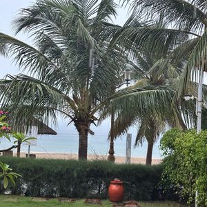 TTC Ninh Thuận Resort Premium