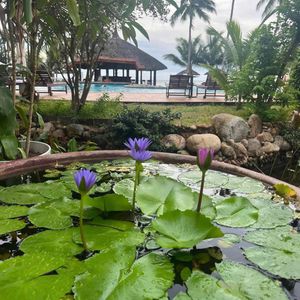 Khách sạn Mường Thanh Mũi Né