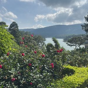 Dalat Edensee Lake Resort & Spa