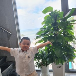 Khách sạn Premier Pearl Vũng Tàu