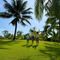 Alma Cam Ranh Resort - Nha Trang