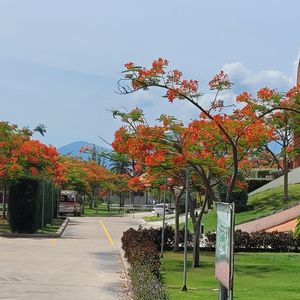 TTC Ninh Thuận Resort Premium