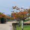 TTC Ninh Thuận Resort Premium