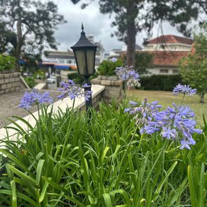 Khách sạn Dalat Palace