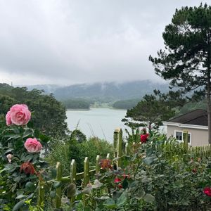 Dalat Edensee Lake Resort & Spa